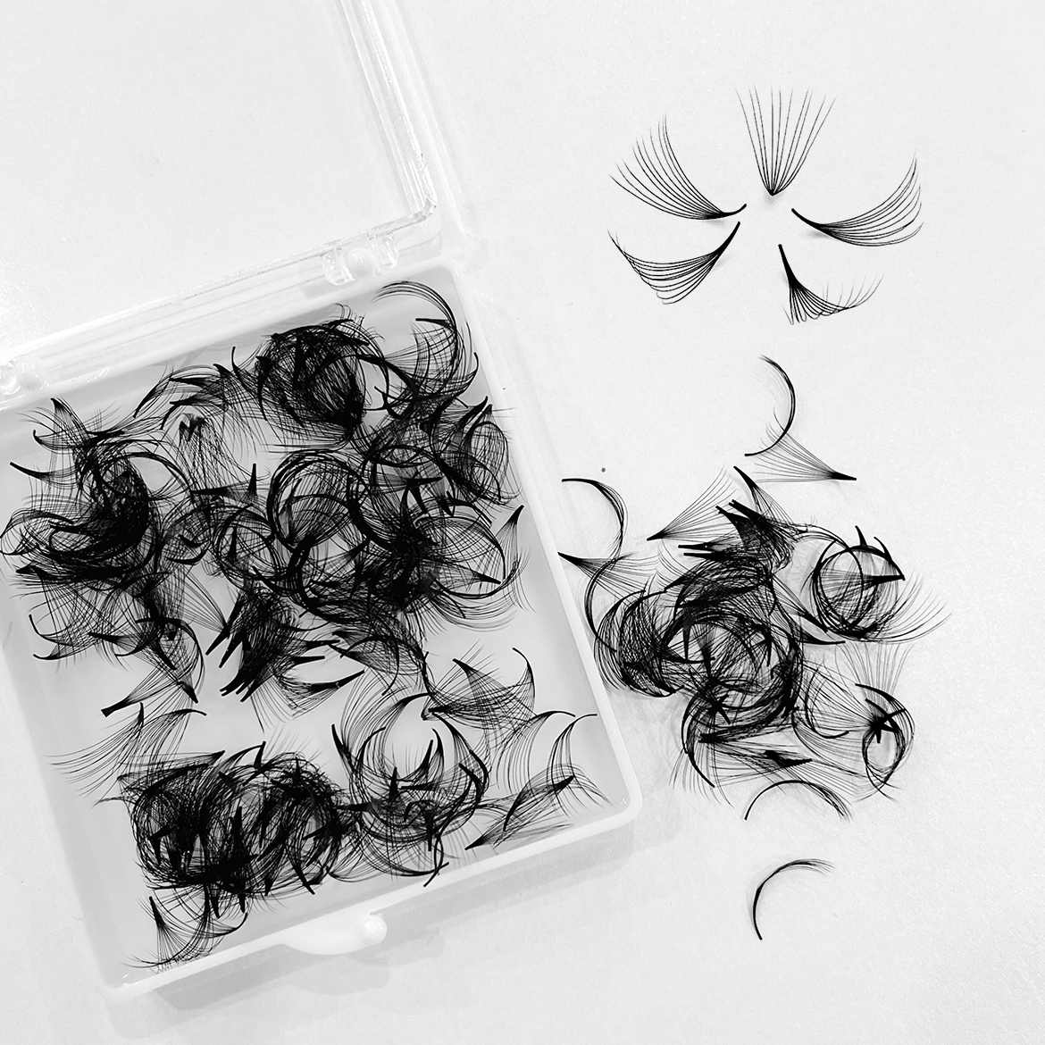 ABONNIE 500 Fans Thin Pointy B - Eyelash Extension For Asian Eyes reseña y precio