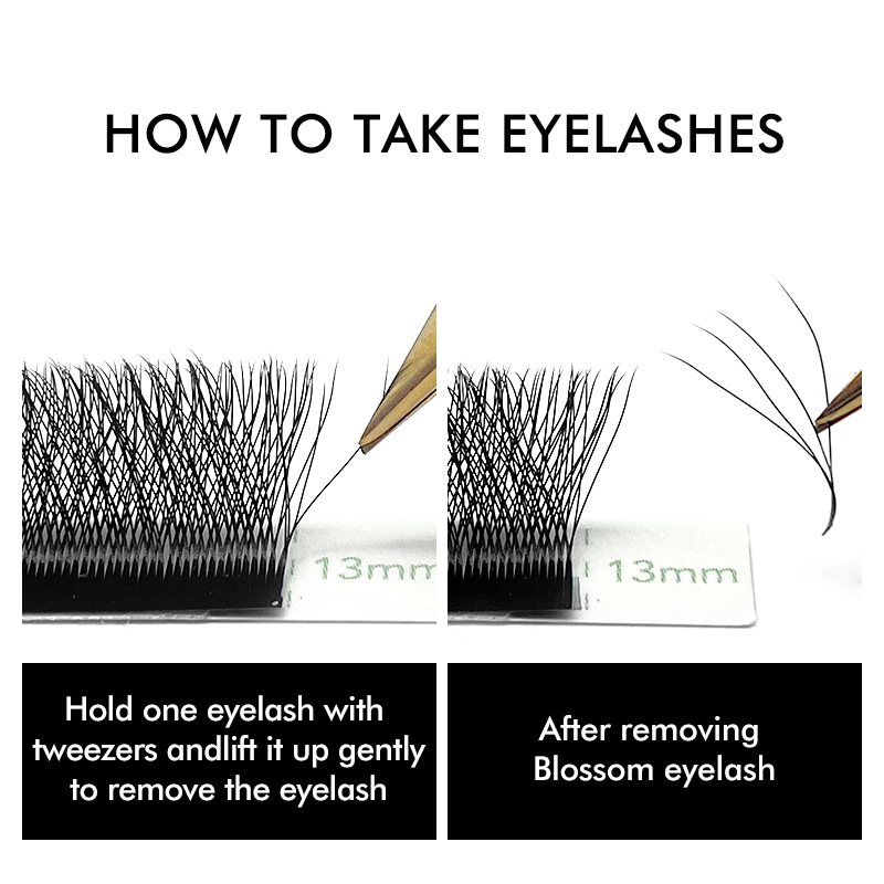 NATUHANA W-Shaped 4D 5D Volume - Eyelash Extension For Asian Eyes reseña y precio