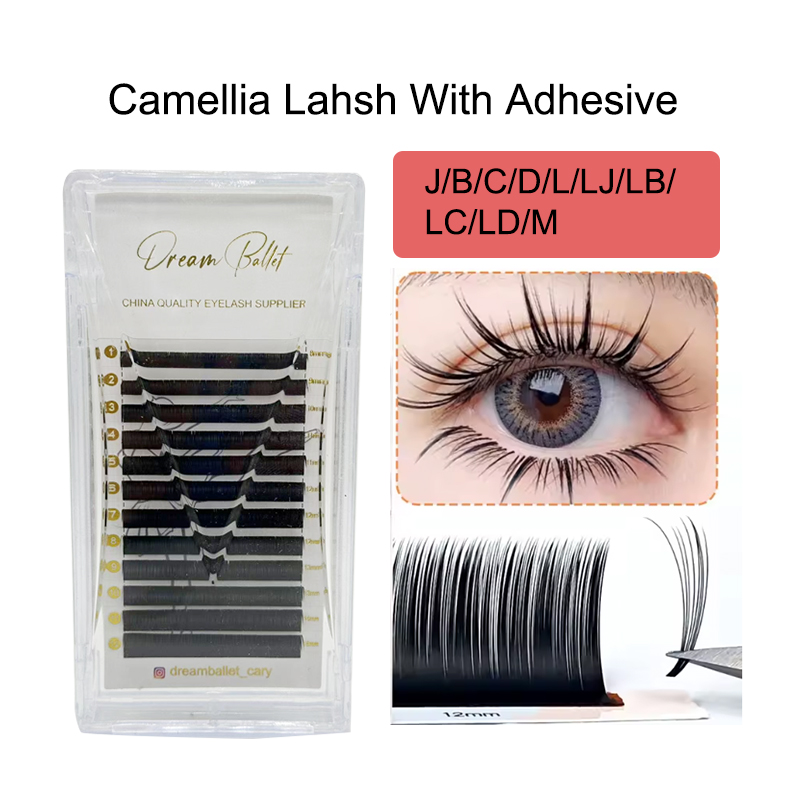 dream ballet Camellia Lashes w - Eyelash Extension For Asian Eyes reseña y precio