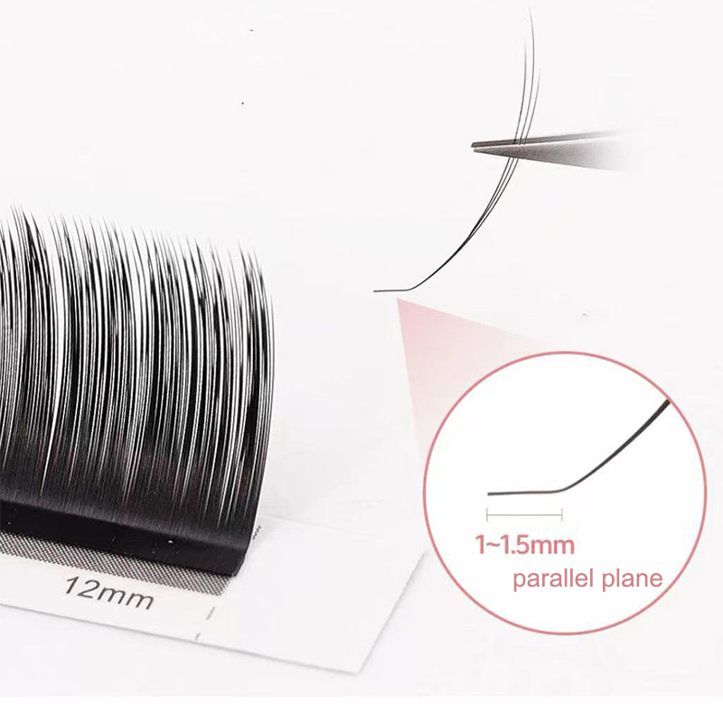dream ballet Camellia Lashes w - Eyelash Extension For Asian Eyes reseña y precio