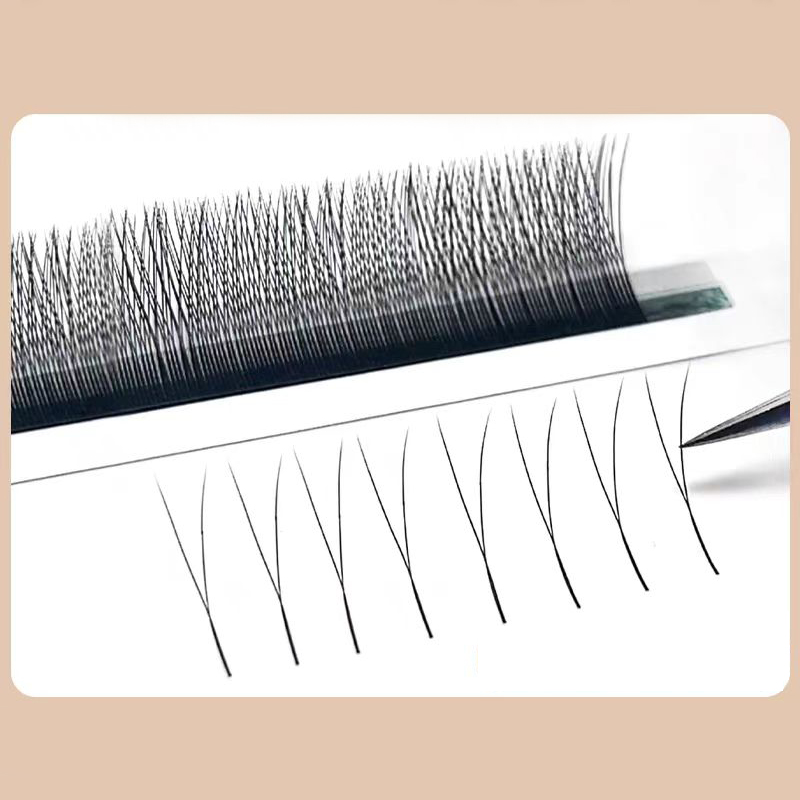 MARIA 2D Y Shape Eyelashes Han - Eyelash Extension For Asian Eyes reseña y precio