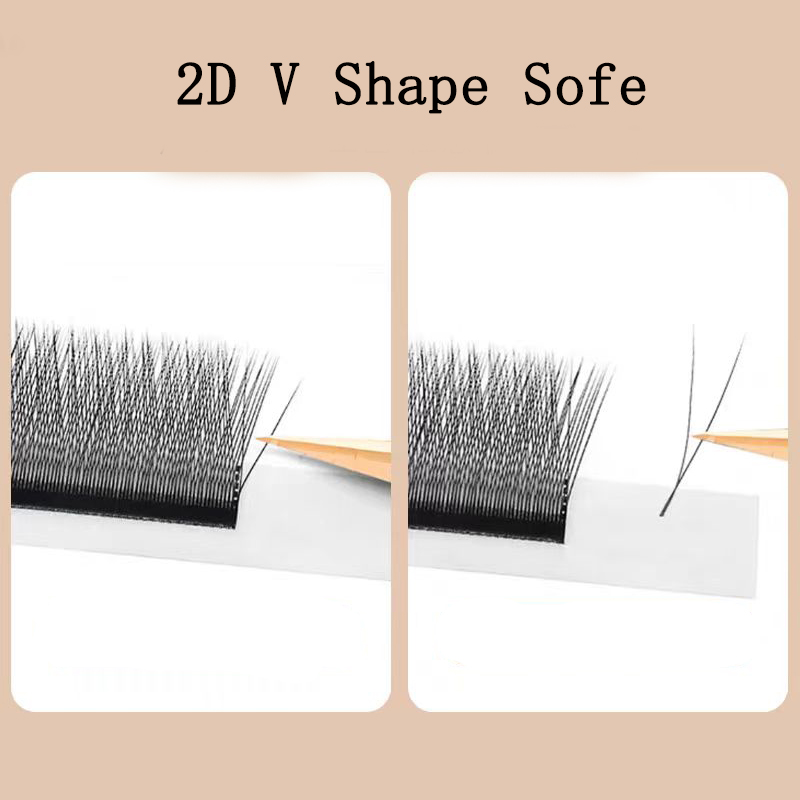 MARIA 2D Y Shape Eyelashes Han - Eyelash Extension For Asian Eyes reseña y precio